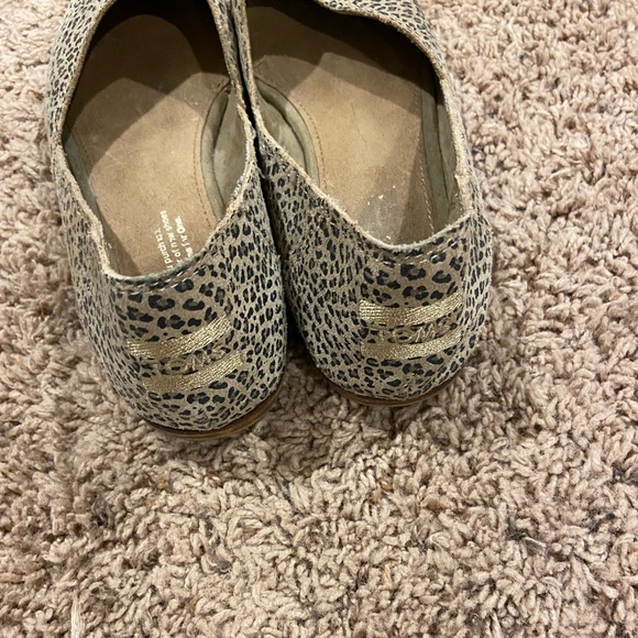 Tom Flats - Picture 2 of 5